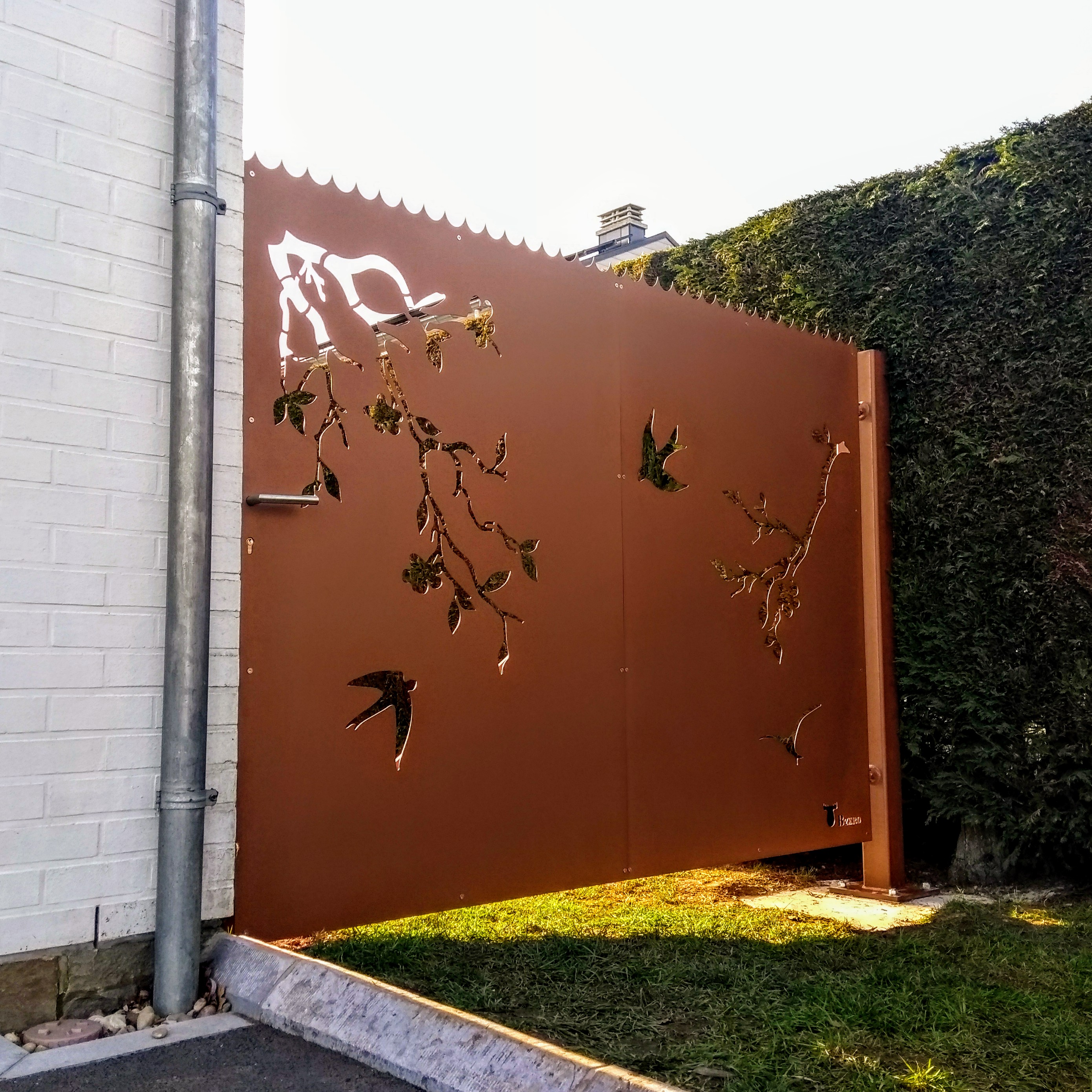 IMG_20190223_154406204